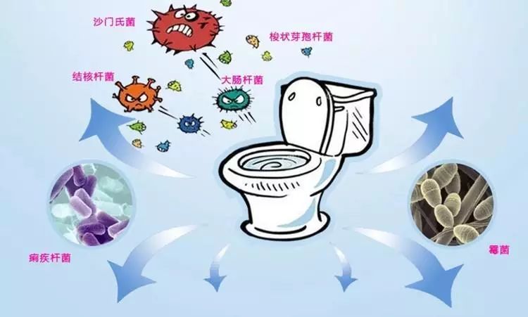 马桶除菌消毒,马桶杀灭细菌的消毒液是什么