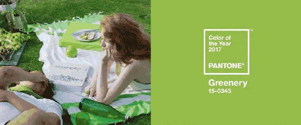 好看的抹茶粉推荐,一眼惊艳的雪岭抹茶配色超治愈