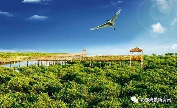 【嘿撩撩啰】壮族三月三，防城港等你撩！