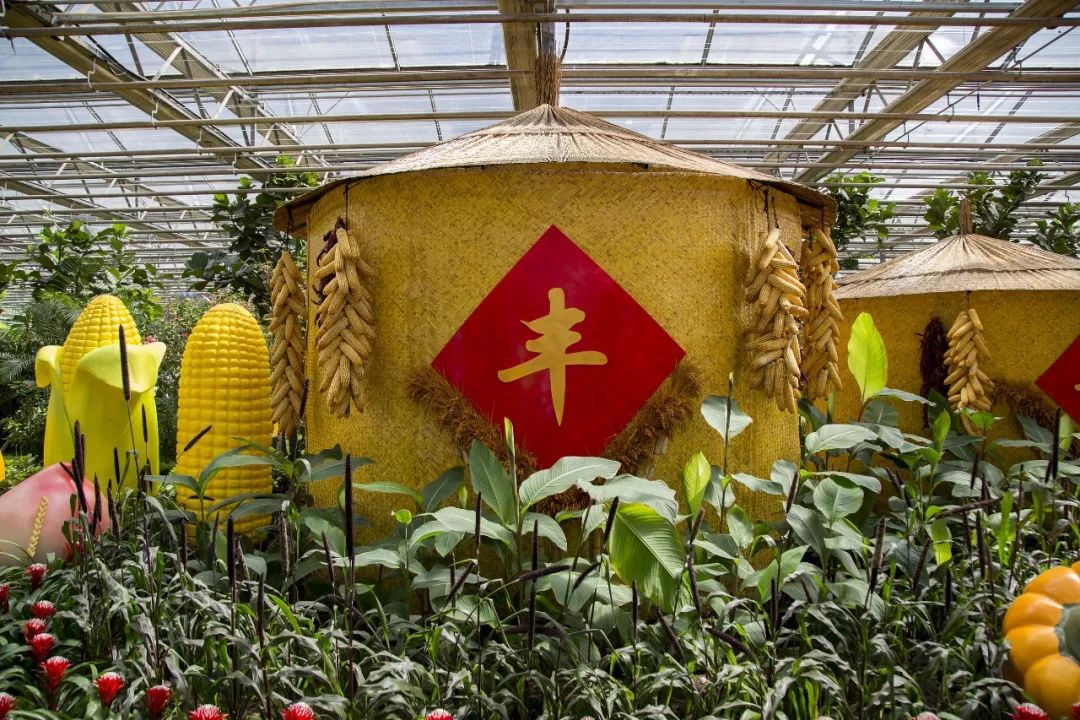 中国农民丰收节秋分节气同一天,二十四节气秋分也是农民丰收节