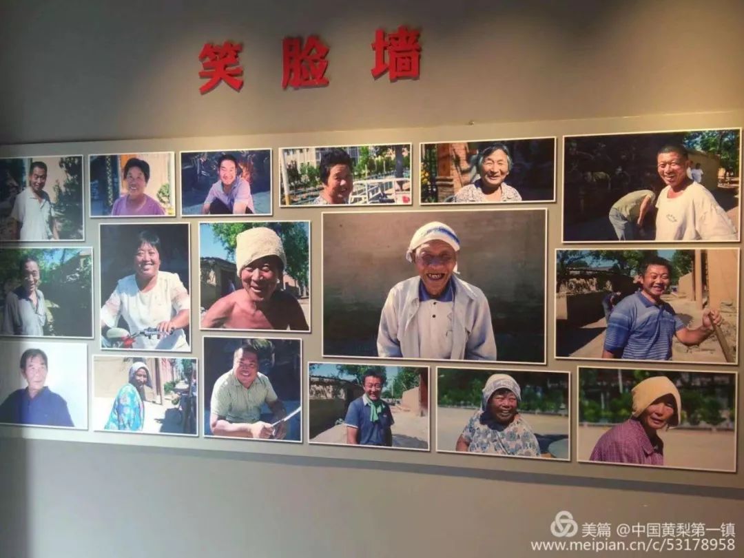 黄梨花儿开，大美馆陶等您来！