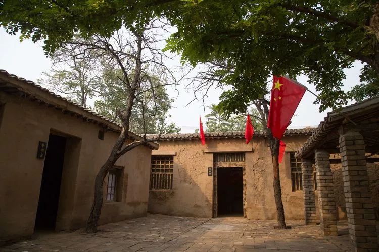 黄梨花儿开，大美馆陶等您来！