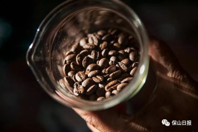 保山最好咖啡豆,保山最贵的咖啡品种