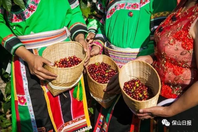 保山最好咖啡豆,保山最贵的咖啡品种