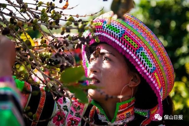 保山最好咖啡豆,保山最贵的咖啡品种