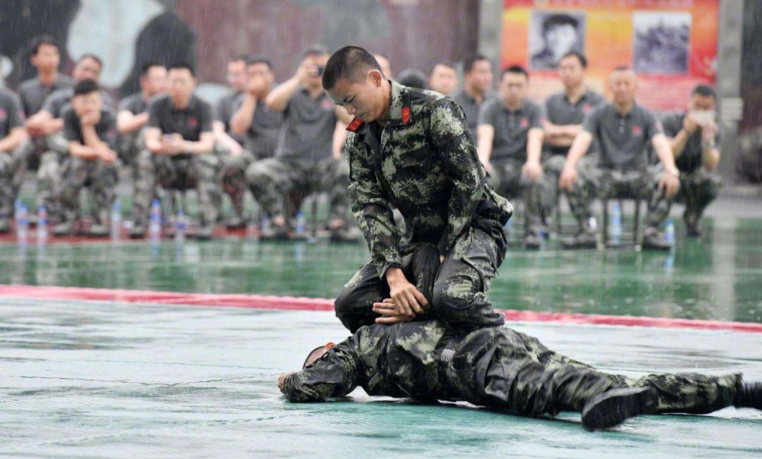 格斗高手速成手册，你值得拥有！