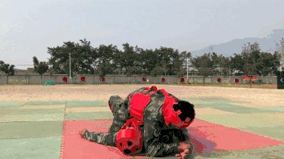 格斗高手速成手册，你值得拥有！