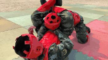 格斗高手速成手册，你值得拥有！