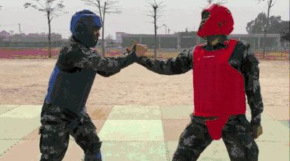 格斗高手速成手册，你值得拥有！