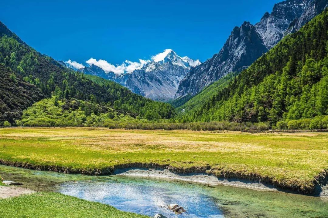 吐血整理！2019成都这些通通免费，收好省一大笔钱！