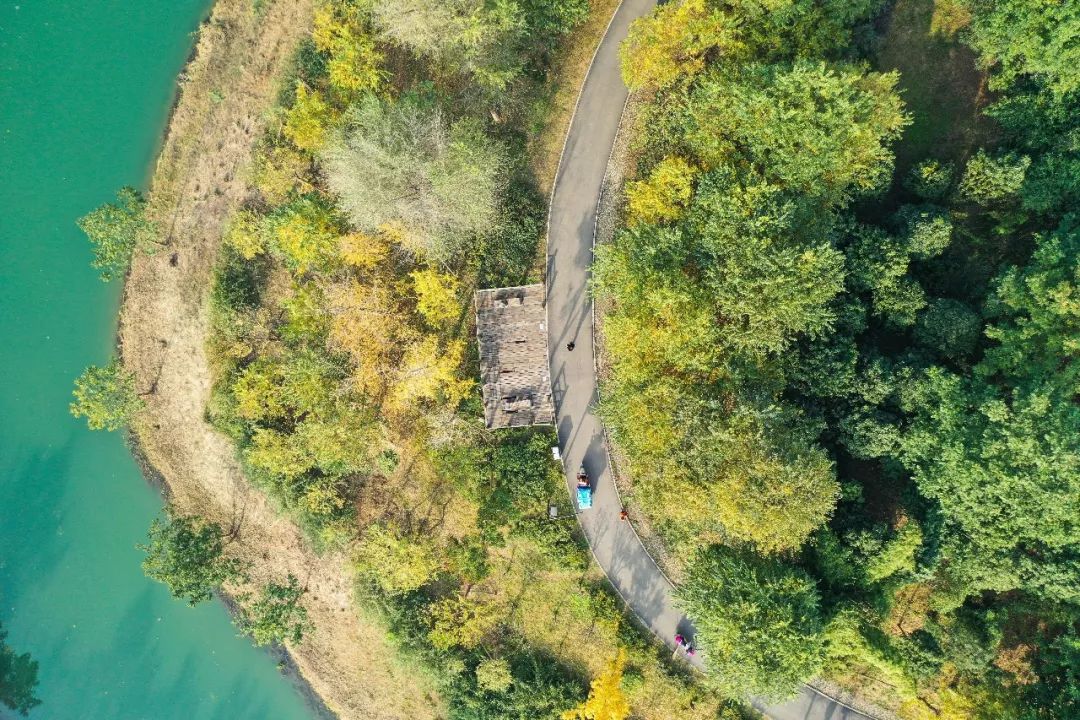 吐血整理！2019成都这些通通免费，收好省一大笔钱！