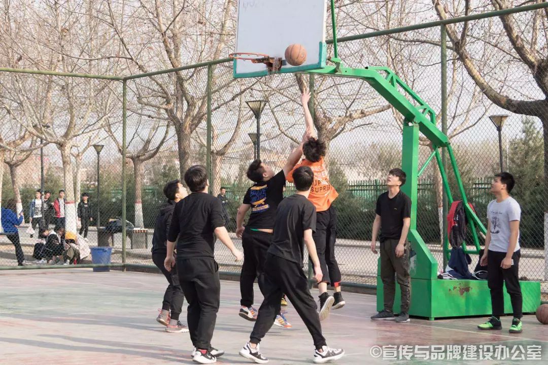 体育篮球排球技巧,篮球排球练习