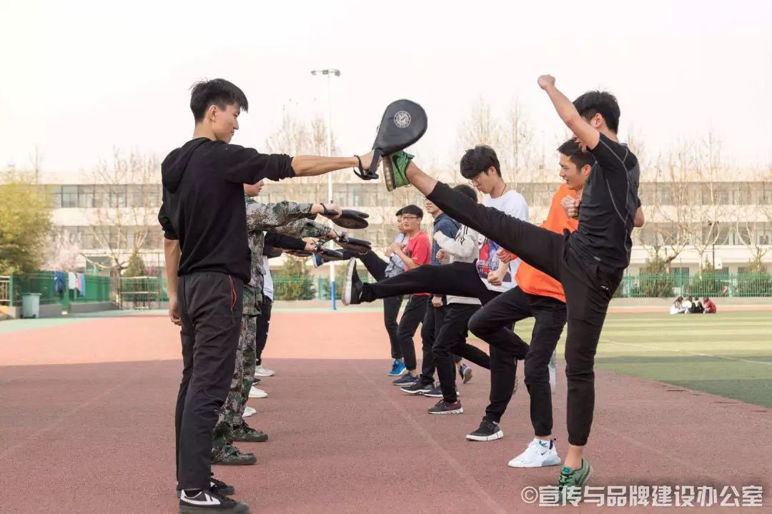 体育篮球排球技巧,篮球排球练习