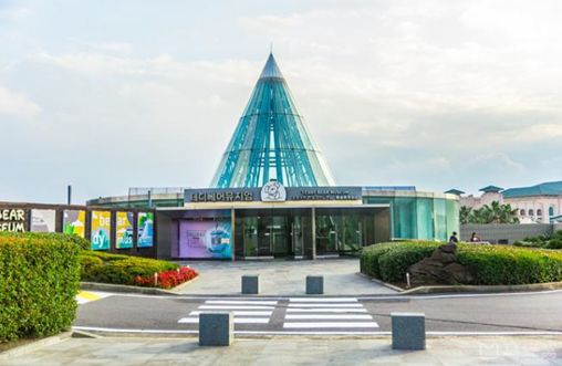 韩国济州岛泰迪熊博物馆,成都泰迪熊博物馆地址在哪