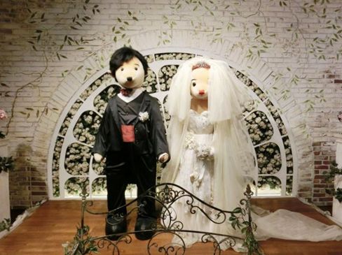 韩国济州岛泰迪熊博物馆,成都泰迪熊博物馆地址在哪