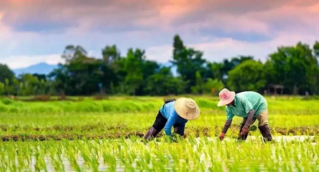 丹江口农业户口补贴,农村户口请注意这三类人要交钱了