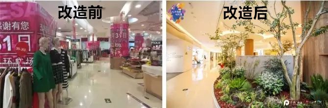 保利商业经营范围,保利商业开拓前景