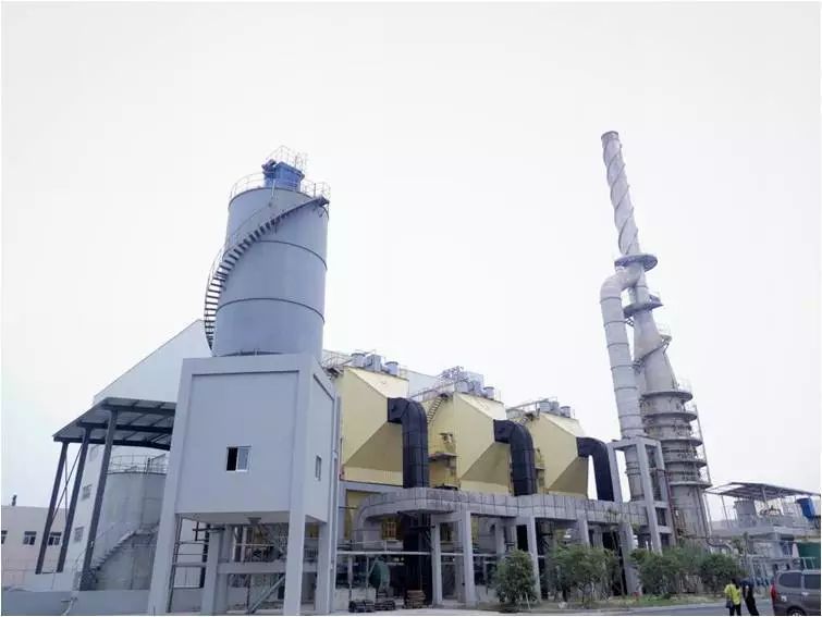 金华市婺城区花满婺城,花满婺城共赏好风景