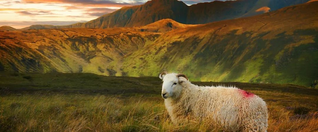 如何申请英国打工签,英国农民工作签证要求