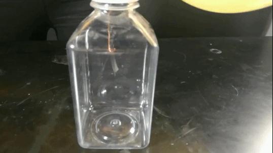 原来想看到“电”也没那么难！|正经玩