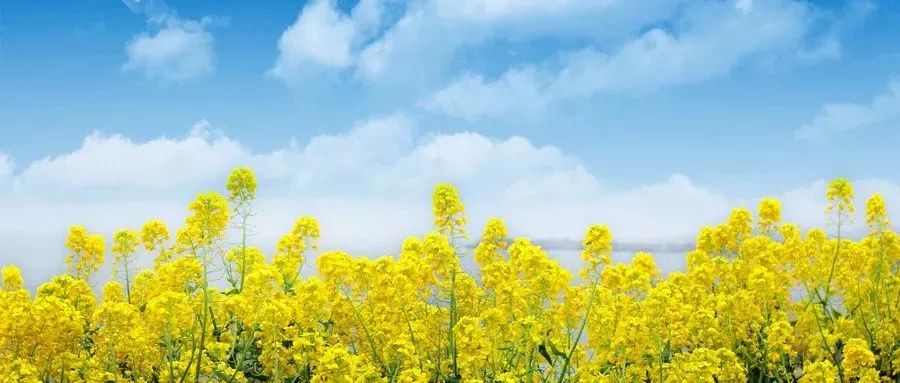 旅游攻略清明小长假,清明小长假你的旅游清单定好了吗