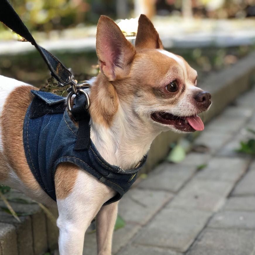 图表制作教程从零开始,excel制作每日收支图表