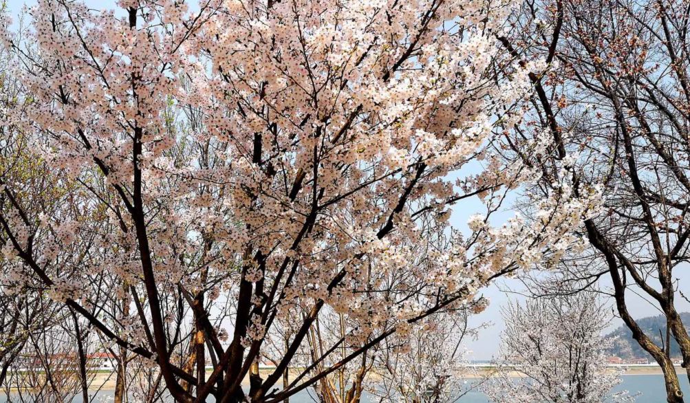 连云港2019发生哪些大事,连云港市最近发生的重大事件