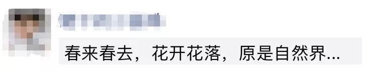 为什么有人发了朋友圈却不显示,为什么发出的朋友圈会不显示