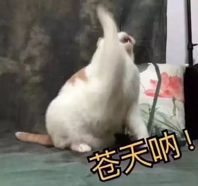 中年妇女如何预防脸上长老年斑,五十岁怎样预防才能不长老年斑