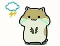 新婚三个月发现是兄妹,小夫妻新婚没多久妻子竟不辞而别