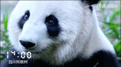 读懂十二时辰就懂人生,读懂十二时辰就懂了我们的一生