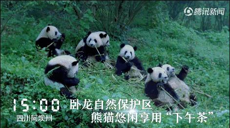 读懂十二时辰就懂人生,读懂十二时辰就懂了我们的一生