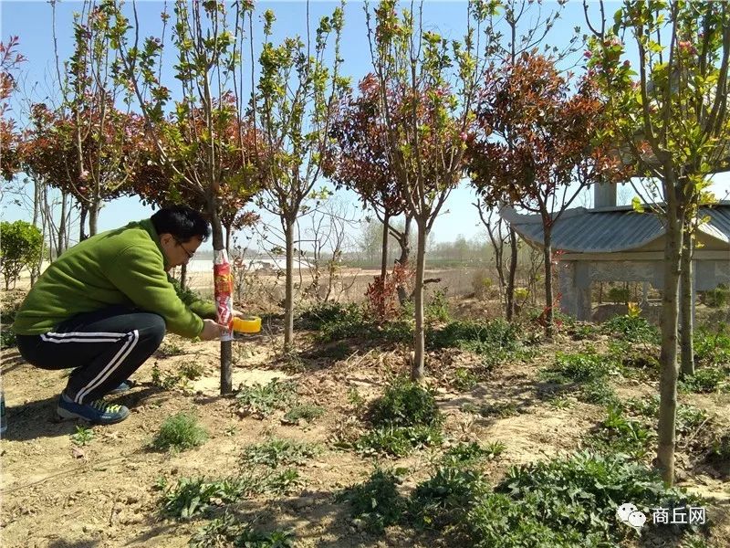 认准了!“懂菜农业”杯第七届黄河故道湿地花海徒步穿越路标已布置完成
