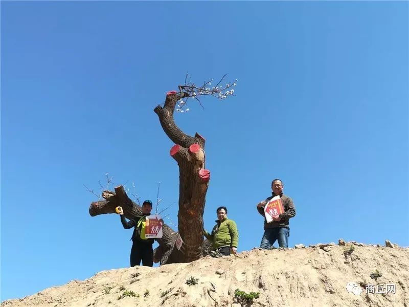 认准了!“懂菜农业”杯第七届黄河故道湿地花海徒步穿越路标已布置完成