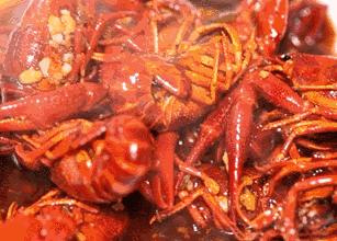 狂舔手指不能停!簋街仔仔小龙虾超值抢购来啦!仅66元抢原价150元给力虾双人套餐!满分的味道,极致的享受!快来pick一下!