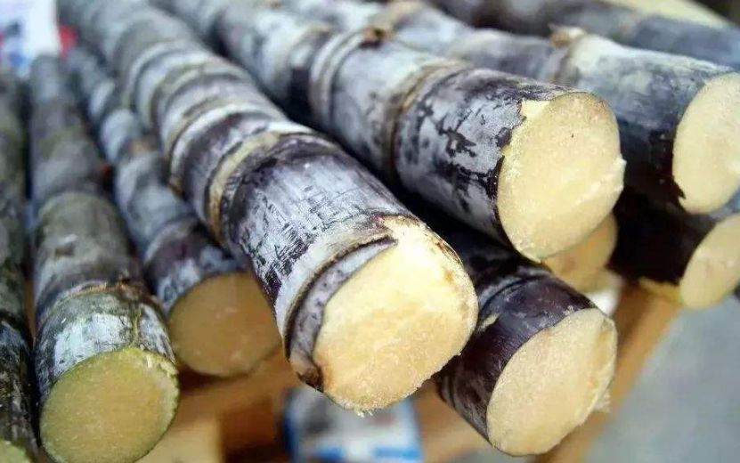 比毒蛇还毒？这种食物清明前后大量上市，好多湖南人特别爱吃…