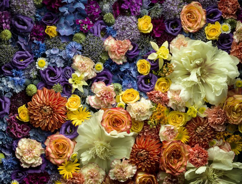 10种积极心态可以帮助人健康长寿,十种心态的人有大福报