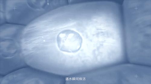 鲜货|今年520你想跟谁锁？