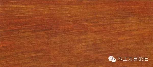 木材的种类及识别,常见木材的识别方法