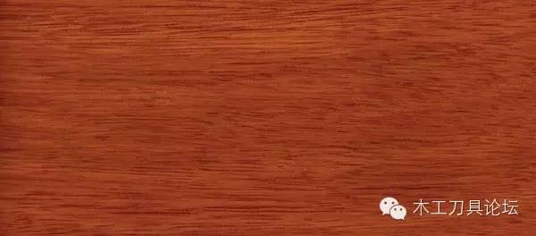 木材的种类及识别,常见木材的识别方法