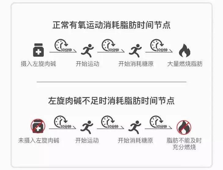 健身燃脂左旋,超级有效的健身燃脂