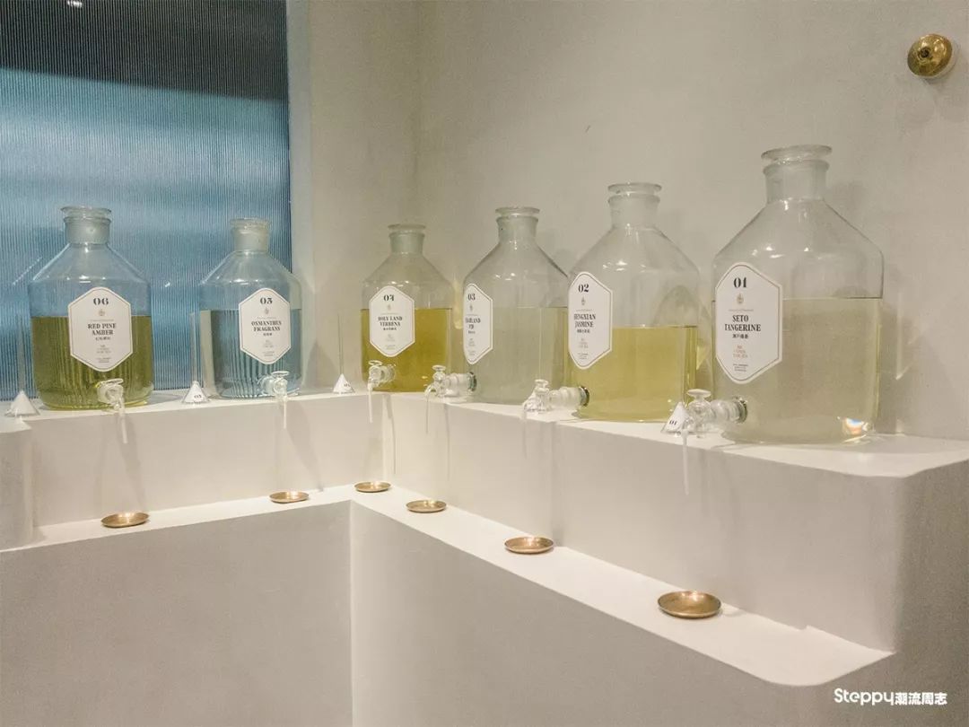 广州必吃早茶店,广州值得吃的早茶店