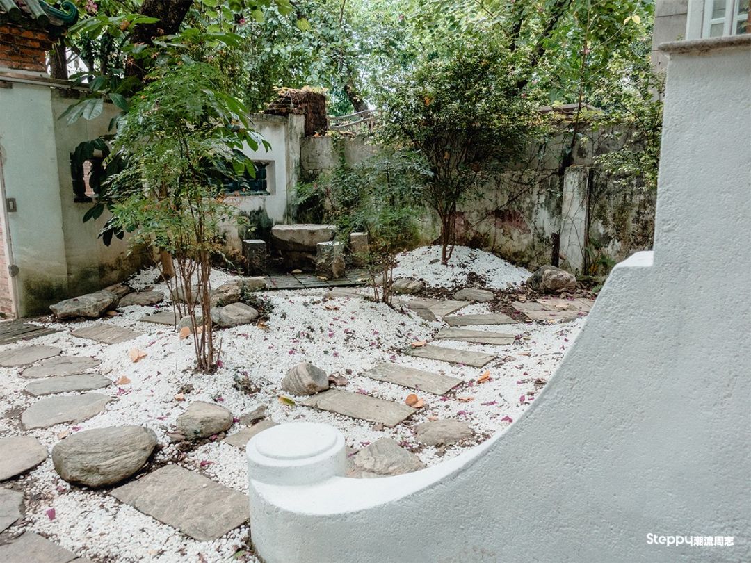 广州必吃早茶店,广州值得吃的早茶店