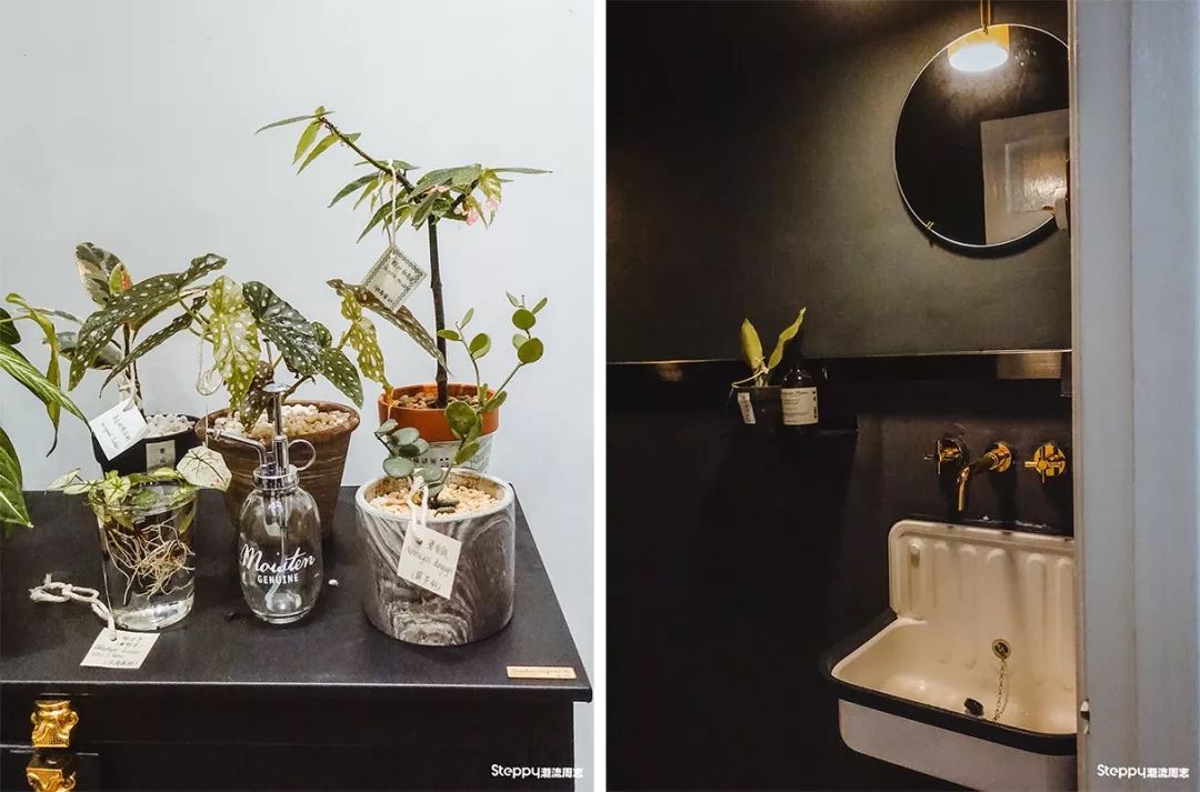 广州必吃早茶店,广州值得吃的早茶店