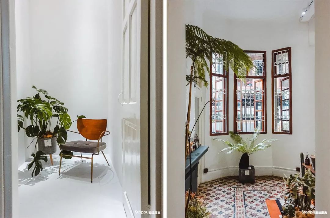 广州必吃早茶店,广州值得吃的早茶店