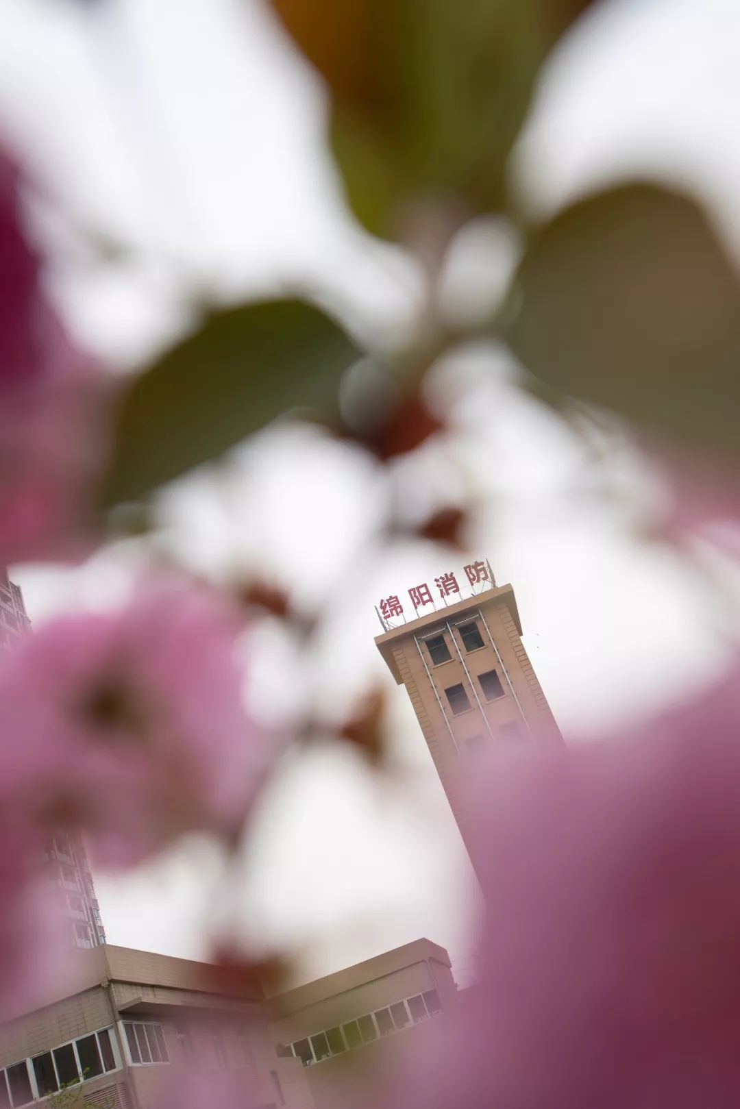 消防员里边的铁血硬汉,消防员送的暖心礼物