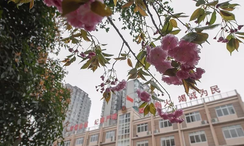 消防员里边的铁血硬汉,消防员送的暖心礼物