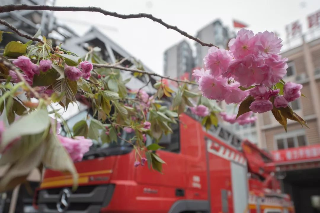 消防员里边的铁血硬汉,消防员送的暖心礼物