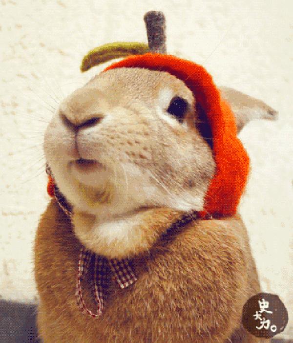 被嚼槟榔割破脸的人,吃槟榔的人口腔癌