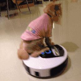 2019年红点至尊奖80件作品，我只记住了这20件